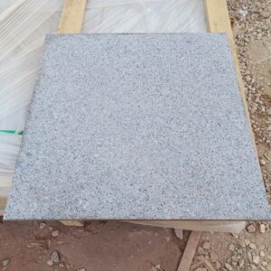 Rosa Hody - Sandblasted