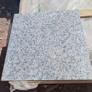 Rosa Cathraine - Flamed