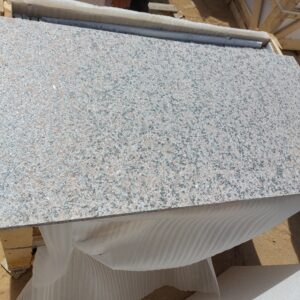 Rosa Cathraine - Flamed